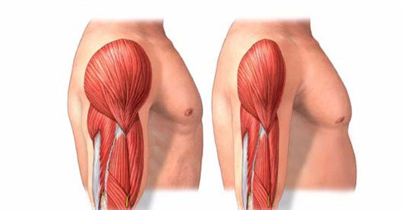 De ce pierdem din masa musculară pe măsură ce îmbătrânim