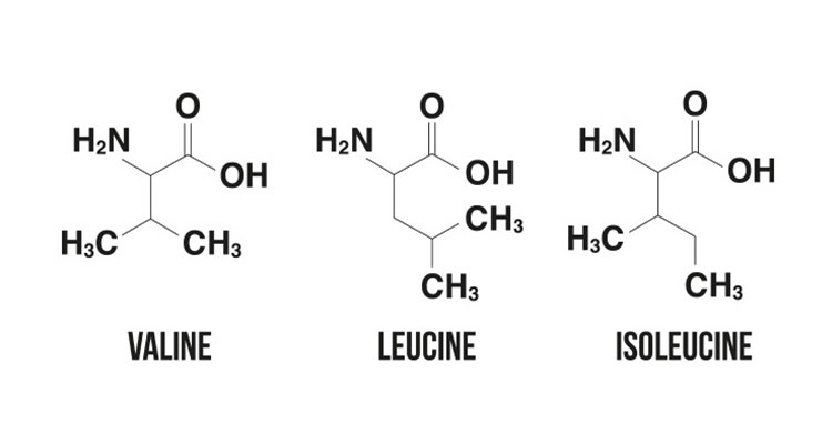 4 lucruri pe care nu le știai despre BCAA
