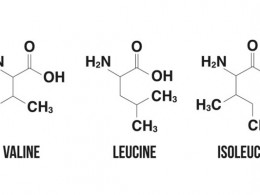 4 lucruri pe care nu le știai despre BCAA
