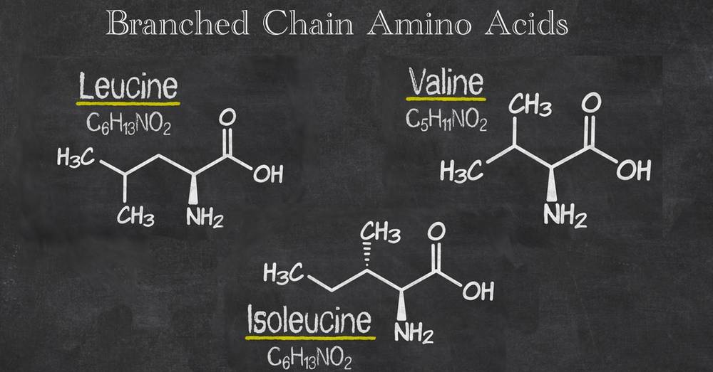 Totul despre BCAA sau aminoacizii cu lanț ramificat