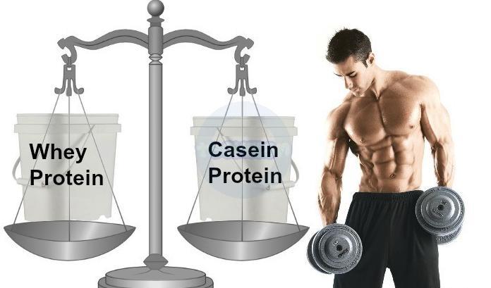 % Casein - kg | Cazeine | 4FIT